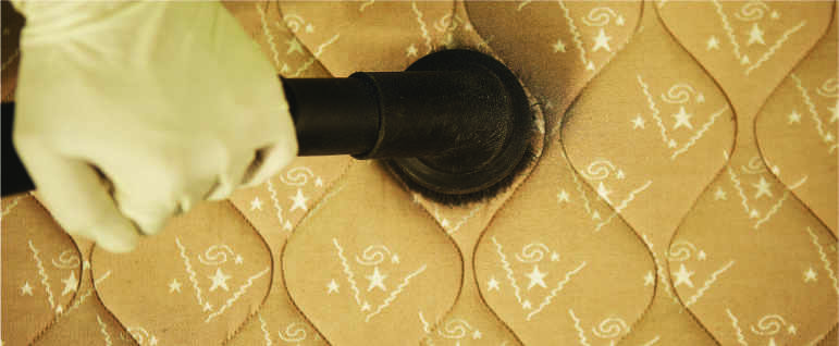Cleaner wearing gloves vacuuming the mattress intensively