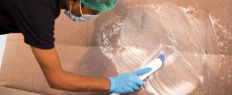 a professional cleaning scrubbing a sofa with a soft brush