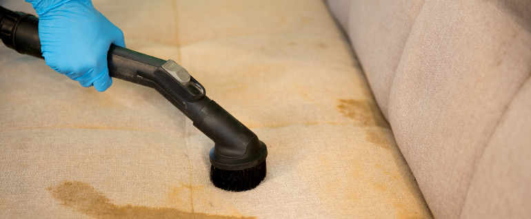A vacuum cleaner fitted with a dust brush sucking dust from the seat of a dirty sofa